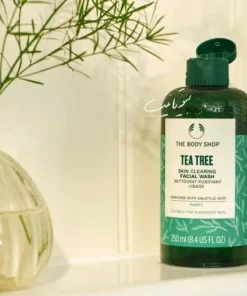 ژل شوینده تی تری بادی شاپ